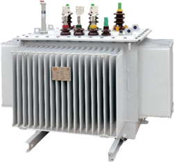 Oil-immersed power transformer